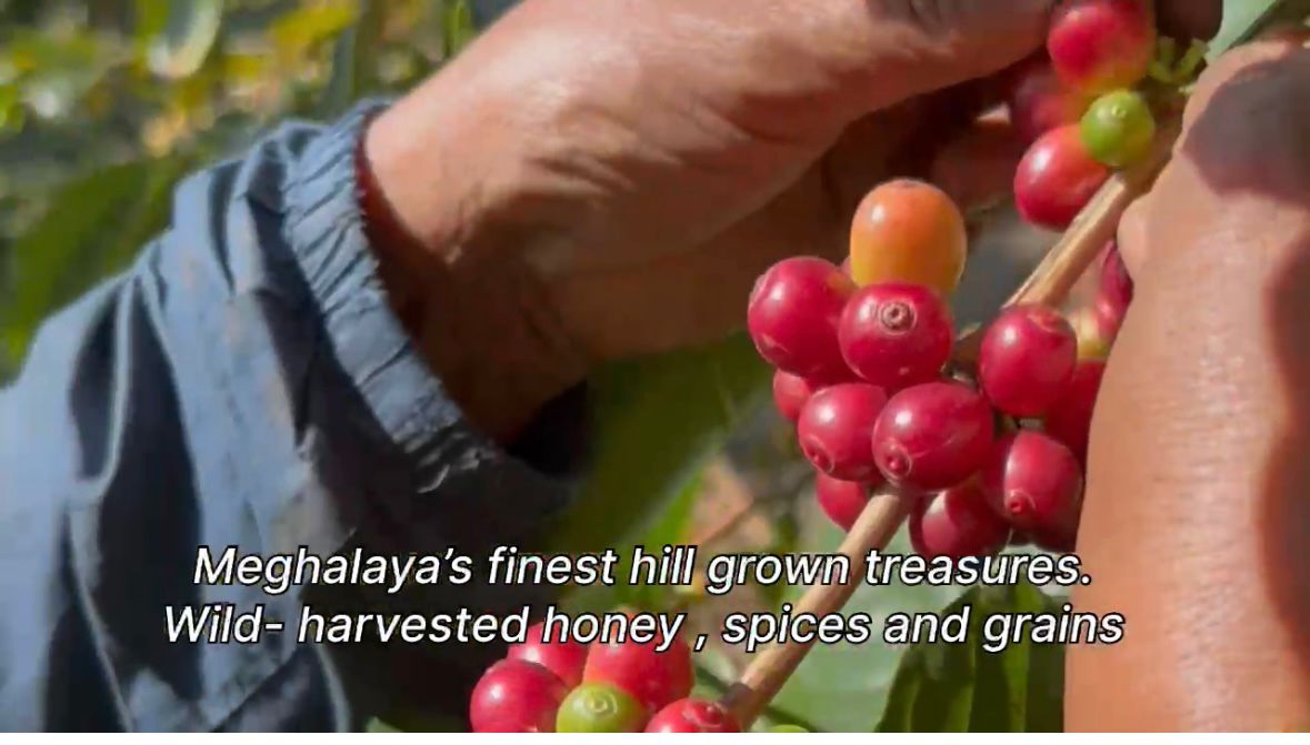 VIP ELITE RESERVE LOCK BOX - Image 7