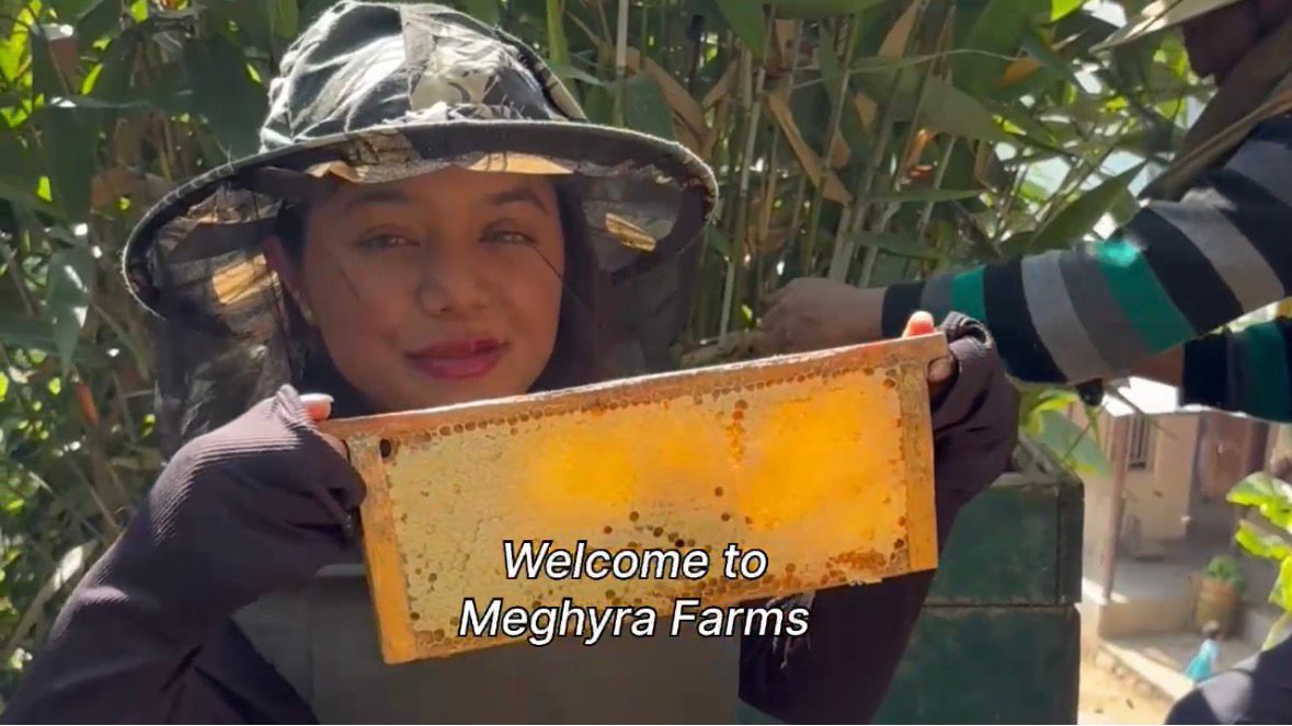 VIP ELITE RESERVE LOCK BOX - Image 4