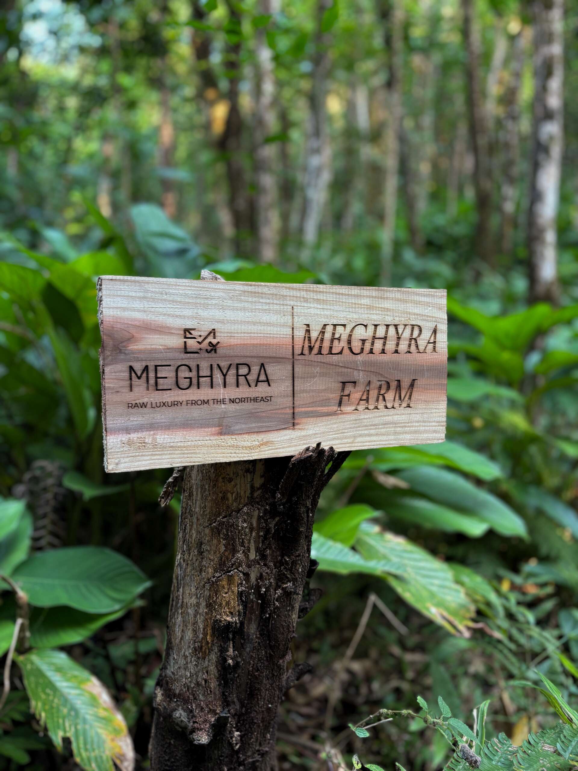 VIP ELITE RESERVE LOCK BOX - Image 11