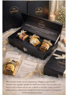 WILD GOLD COLLECTION BOX 3