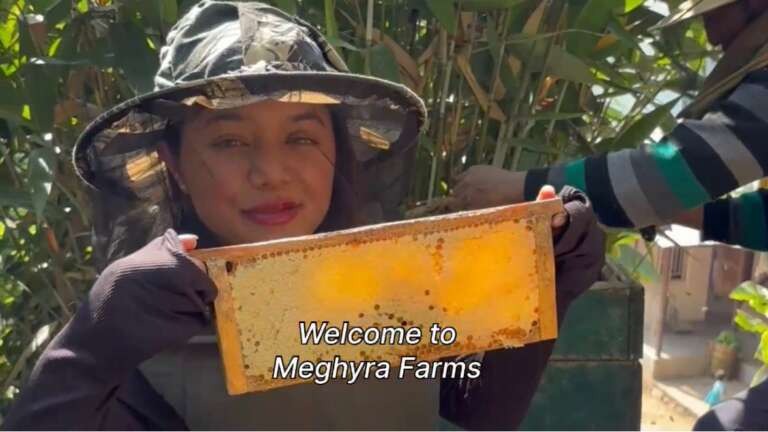 Meghyra Black Forest Honey (300gm)