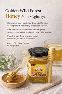 Golden Wild Forest Honey (300gm)